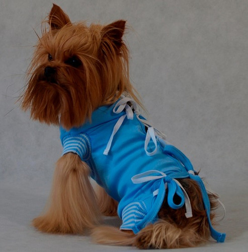 Grande Finale Postoperative Shirt for Dogs Size 3 / 36cm, blue