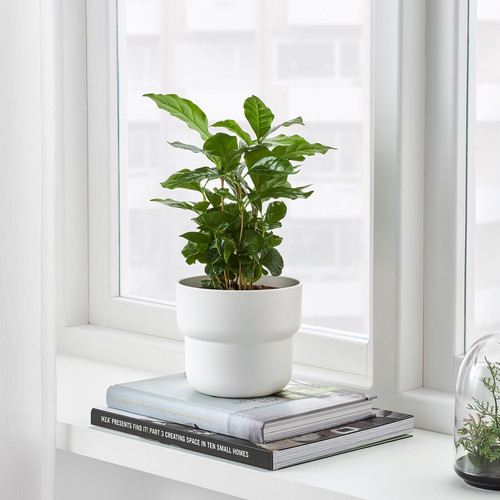 FÖRENLIG Plant pot, indoor/outdoor white, 12 cm