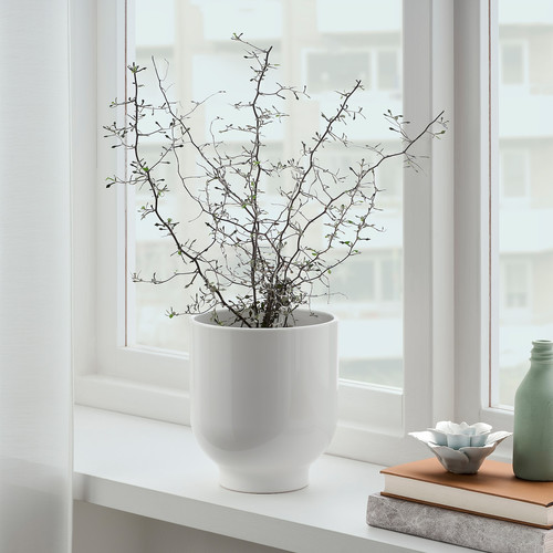 DRÖMSK Plant pot, white, 15 cm