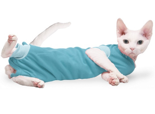 Grande Finale Pet Recovery Suit Post-Surgical 25cm, blue
