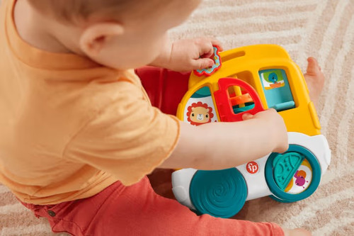 Fisher-Price Animal Friends Discovery Baby Activity Toys Collection, 1PC, assorted, HXK32 W6m+
