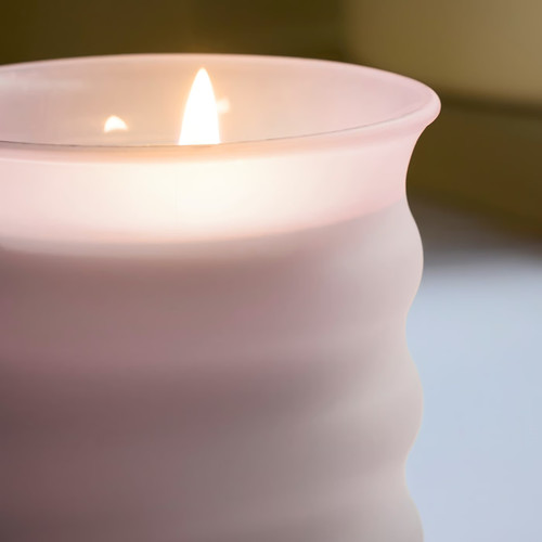 JUVELTRAST Scented candle in glass, Red berries pink, 50 hr