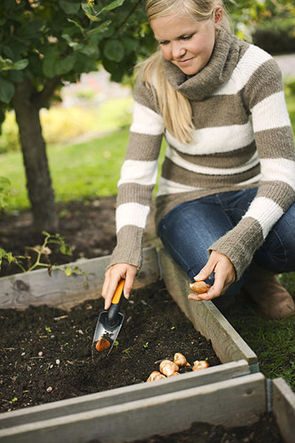 Fiskars Premium Planters Transplanter