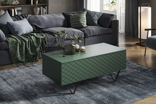 Coffee Table with Storage Scalia 120, matt labrador/black legs