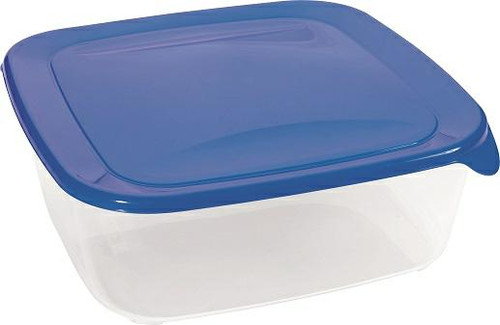 Curver Fresh&Go 2.9L Square Food Container, blue/transparent