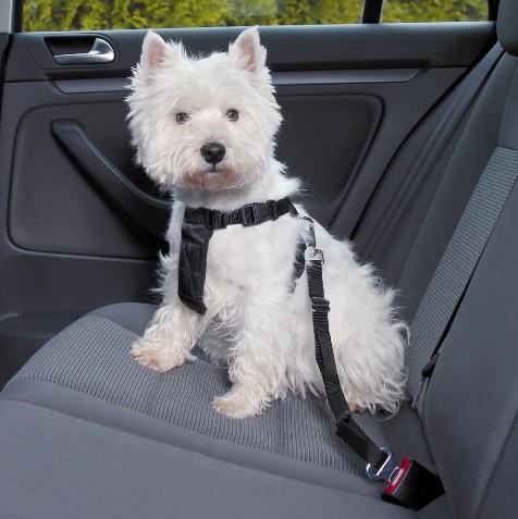 Trixie Dog Car Harness Size S