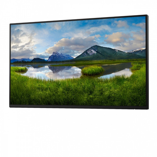 Dell 24" Monitor P2425HE LED IPS 1920x1080 16:9 USBC RJ45 HDMI DP
