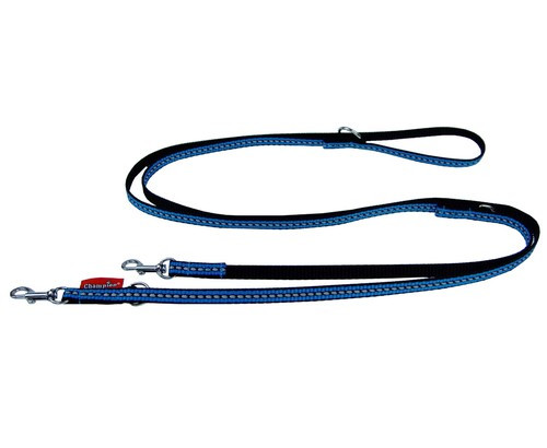 Adjustable Webbing Dog Leash 1.0 [TSO R(B)]