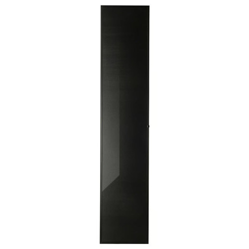 HÖGBO Glass door, black, 40x192 cm