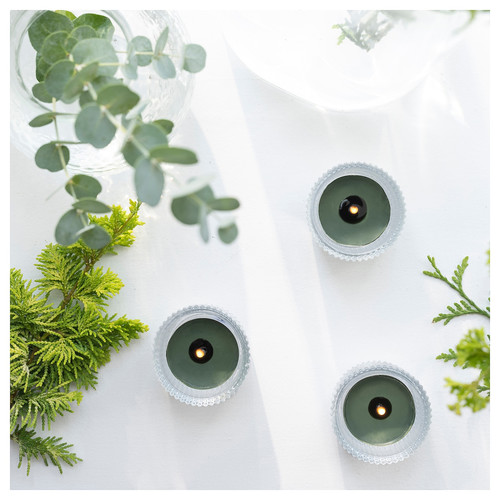 JÄMTSKOGEN Scented tealight, cypress & eucalyptus/dark green, 3.5 hr