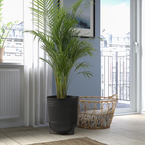 PÄRLRÖNN Plant pot, in/outdoor/black, 32 cm