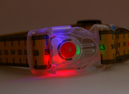 Matteo Dog Collar LED Buckle 25mm, measure