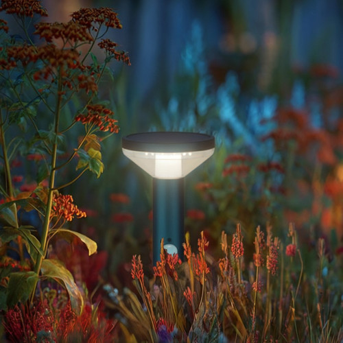 MacLean Solar LED Lamp with Motion Sensor MCE465c/m