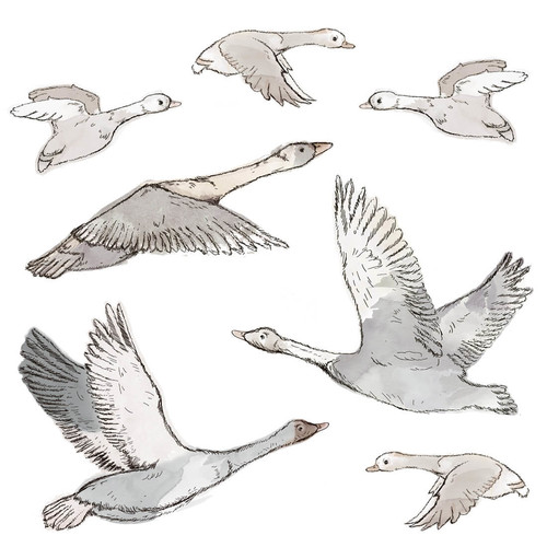 Wall Sticker Set - Geese