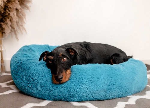 MIMIKO Pets Dog Bed Lair Shaggy Round XL 75cm, turquoise