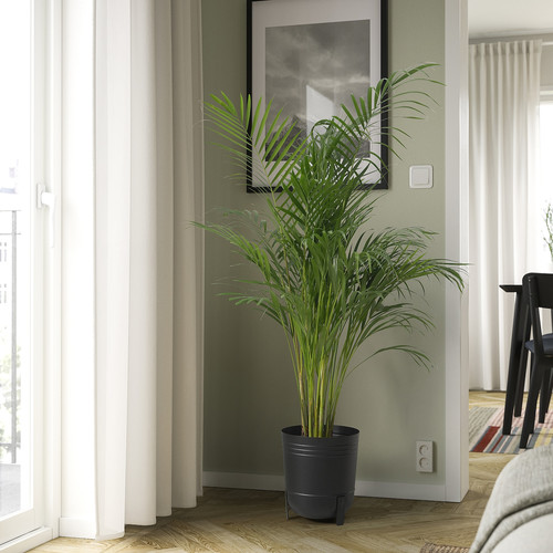 PÄRLRÖNN Plant pot, in/outdoor/black, 24 cm
