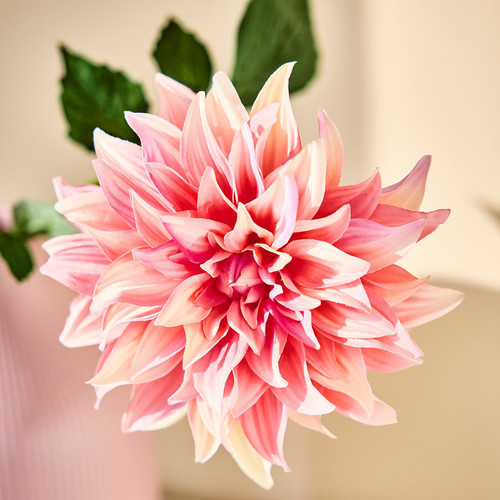 SMYCKA Artificial flower, in/outdoor Dahlia/pink, 65 cm