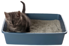 Cat Litter Super Benek Compact (blue) 5L
