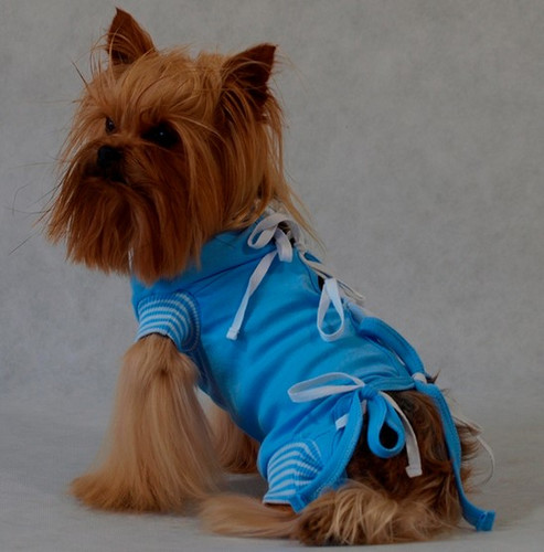 Grande Finale Postoperative Shirt for Dogs Size 5 / 51cm, blue