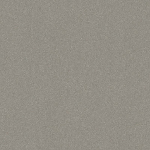 Kitchen Splashback Laminated Wall Panel 0.3 x 60 x 200 cm, grey matt zinc