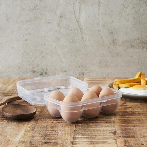 6-Egg Plastic Container