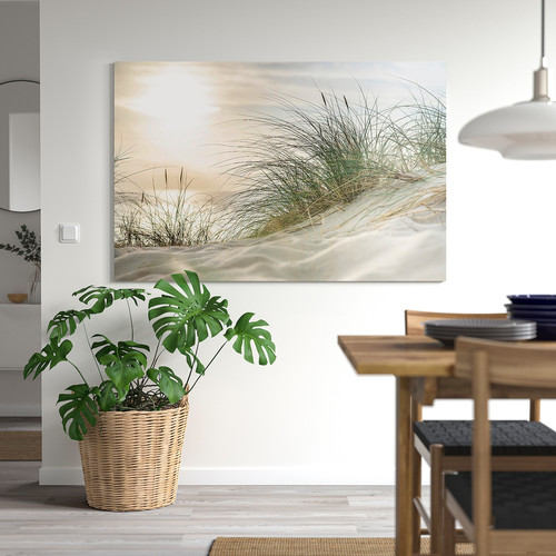 PJÄTTERYD Picture, grass on a dune, 118x78 cm