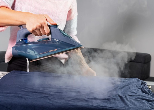 Concept Steam iron ZN9110