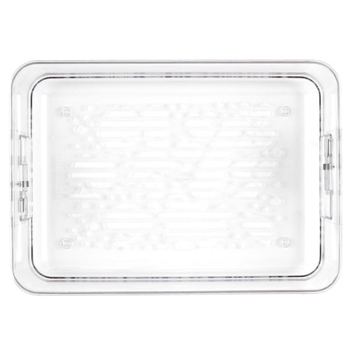 Fruit Storage Container with Colander
