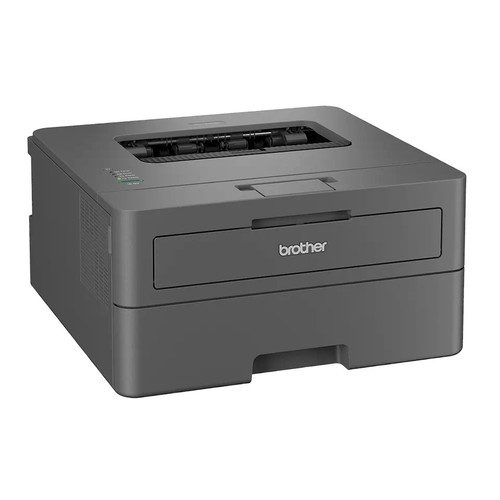 Brother Laser Printer HL-L2402D