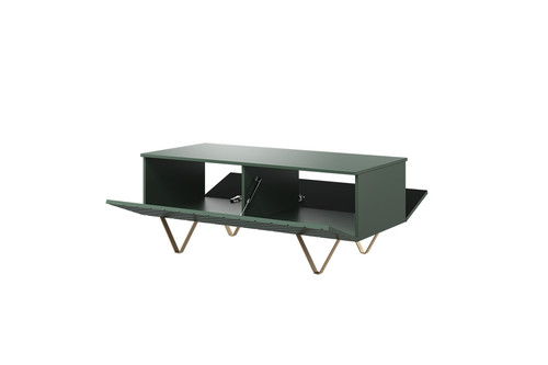 Coffee Table with Storage Scalia 120, matt labrador/gold legs