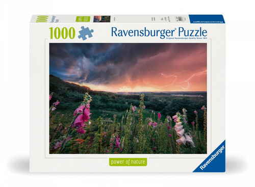 Ravensburger Jigsaw Puzzle 1000pcs Storm 14+