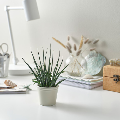 KÖRSBÄRSBJÖRK Plant pot, light grey/beige, 6 cm