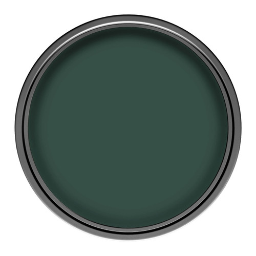 Dulux Walls & Ceiling Matt Latex Paint 2.5L, boho green