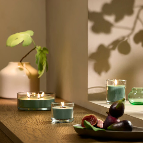 LOTSFÅGEL Scented candle in glass, Fig leaf green, 20 hr