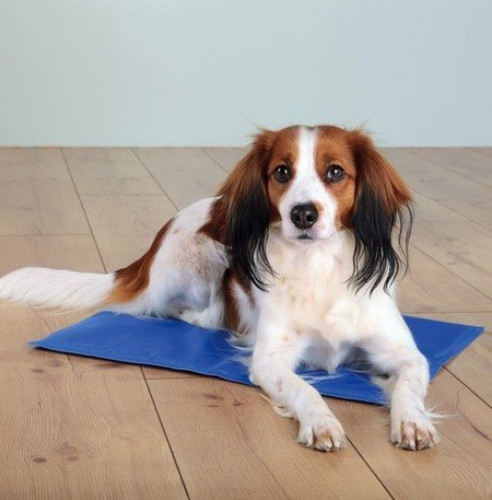 Trixie Cooling Mat 90x50cm, blue