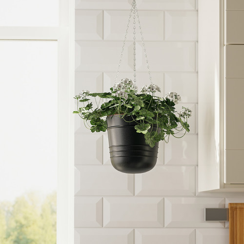 PÄRLRÖNN Hanging planter, in/outdoor/black, 15 cm