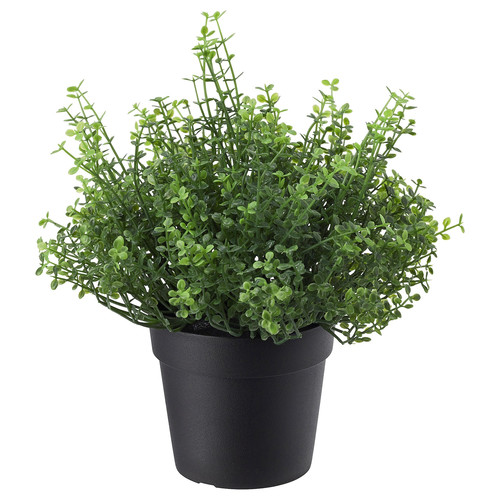 FEJKA Artificial potted plant, in/outdoor Baby’s tears, 9 cm
