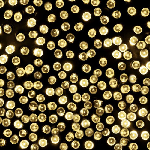 LED Lighting Chain 100 LED 9.9 m, indoor/outdoor, warm white