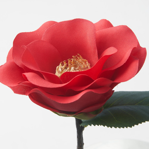 SMYCKA Artificial flower, in/outdoor/Camellia red, 28 cm