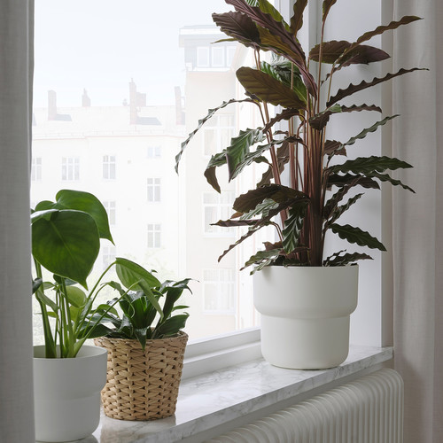 FÖRENLIG Plant pot, in/outdoor white, 19 cm