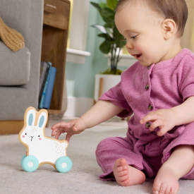 Fisher-Price Wooden Push-Along Bunny Toy Vehicle JDM52 6m+