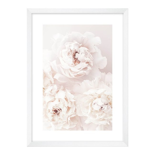 Picture White Peony 50 x 70 cm