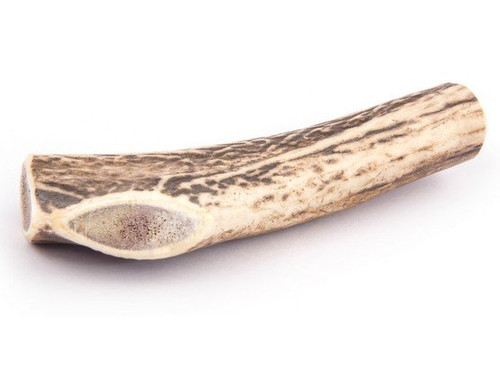 4DOGS Natural Dog Chew from Discarded Antlers, XXL+ Hard 1pc