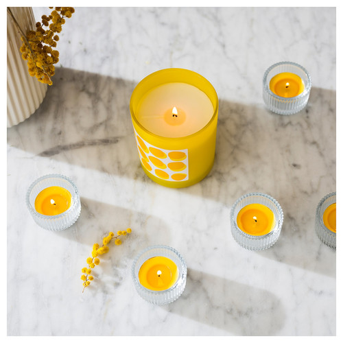 SVARTOXBÄR Scented tealight, Mimosa/yellow, 3.5 hr