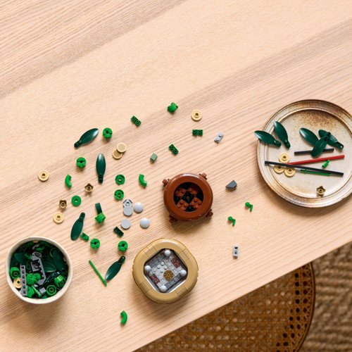 LEGO Botanicals Lucky Bamboo 18+