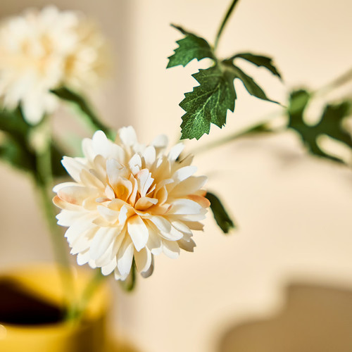 SMYCKA Artificial flower, in/outdoor Chrysanthemums/white, 71 cm