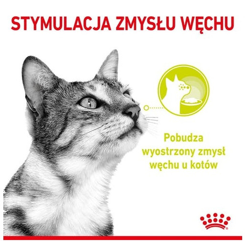 Royal Canin Sensory Smell Wet Food for Cats 85g