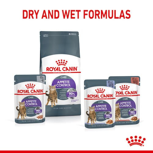 Royal Canin Appetite Control Care Wet Cat Food in Jelly 85g