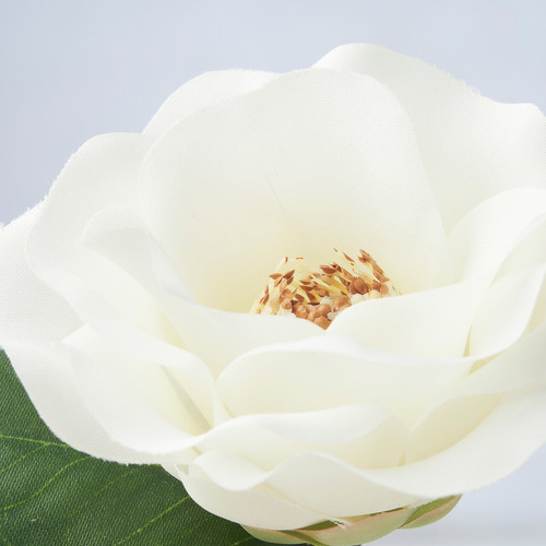 SMYCKA Artificial flower, in/outdoor/Camellia white, 28 cm