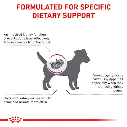 Royal Canin Veterinary Diet Renal Small Dog Dry Food 3.5kg